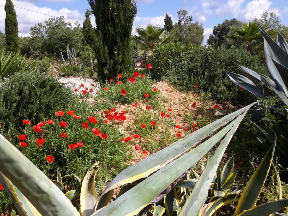 Finca Alqueria Fosca كامبوس المظهر الخارجي الصورة