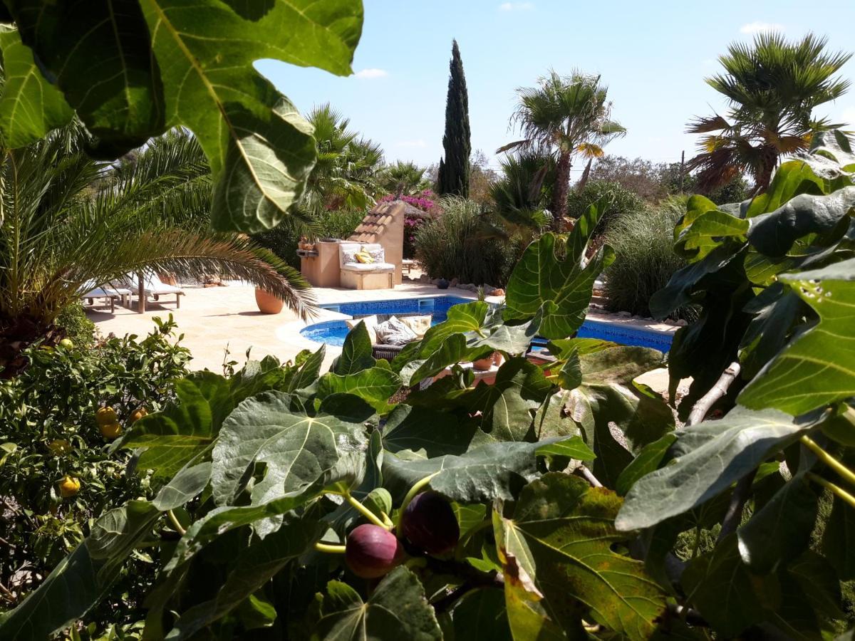 Finca Alqueria Fosca كامبوس المظهر الخارجي الصورة