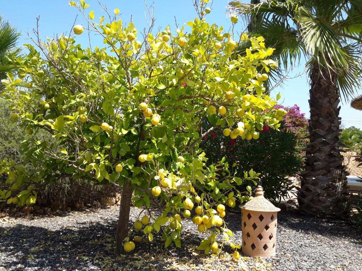 Finca Alqueria Fosca كامبوس المظهر الخارجي الصورة