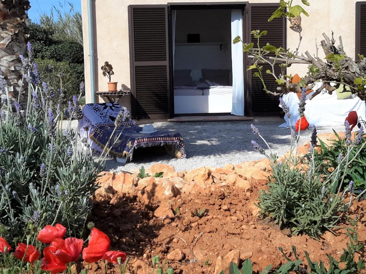 Finca Alqueria Fosca كامبوس المظهر الخارجي الصورة