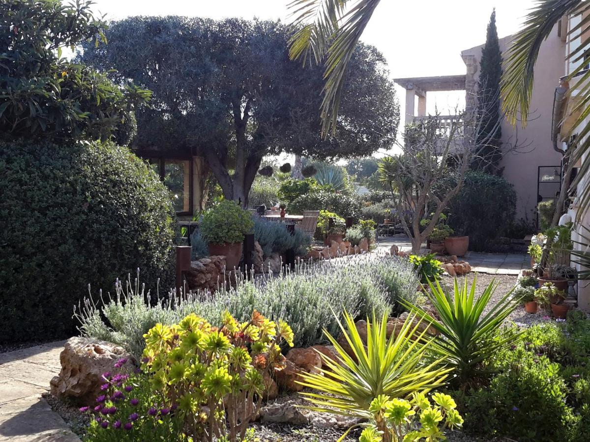 Finca Alqueria Fosca كامبوس المظهر الخارجي الصورة