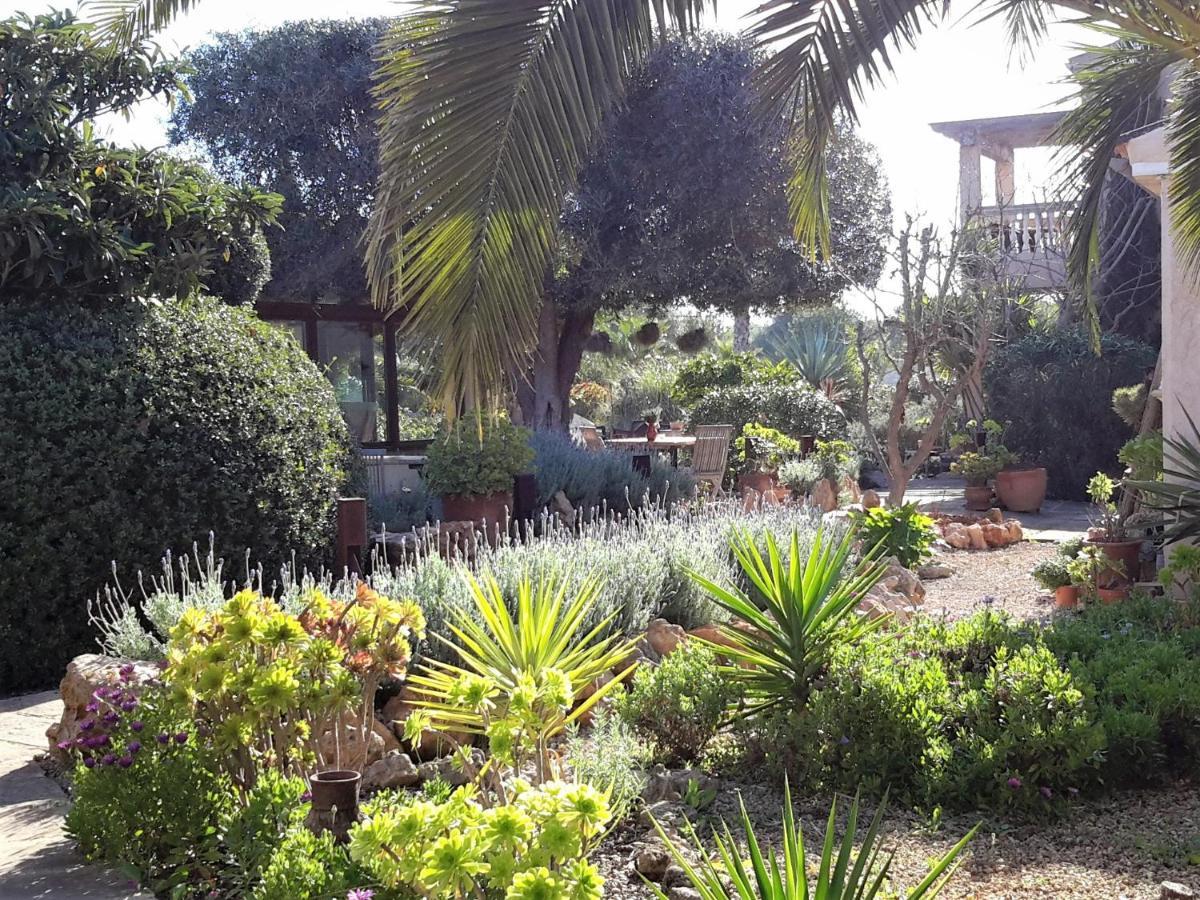 Finca Alqueria Fosca كامبوس المظهر الخارجي الصورة