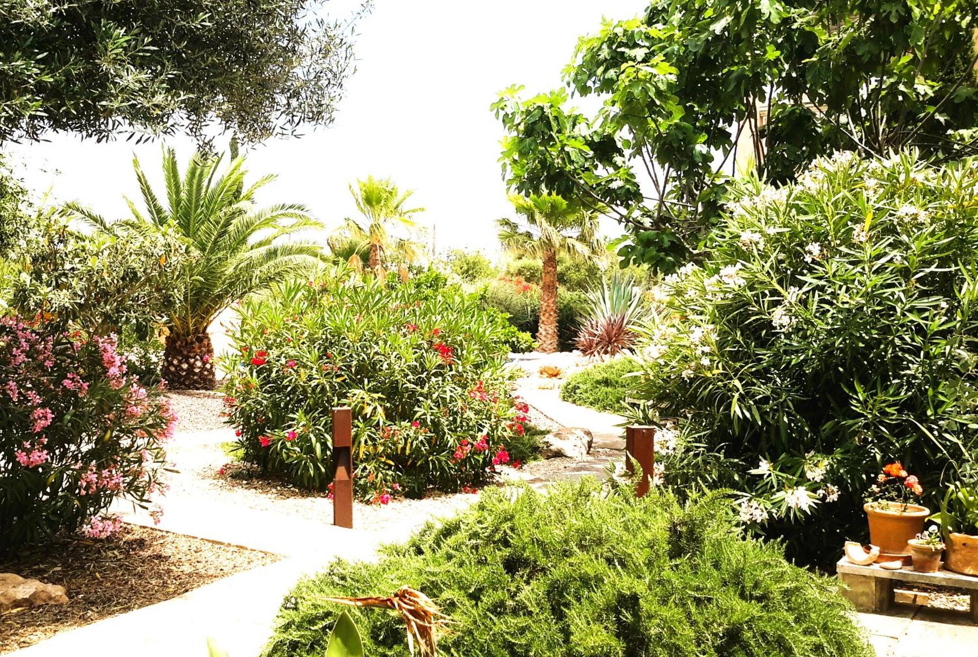 Finca Alqueria Fosca كامبوس المظهر الخارجي الصورة