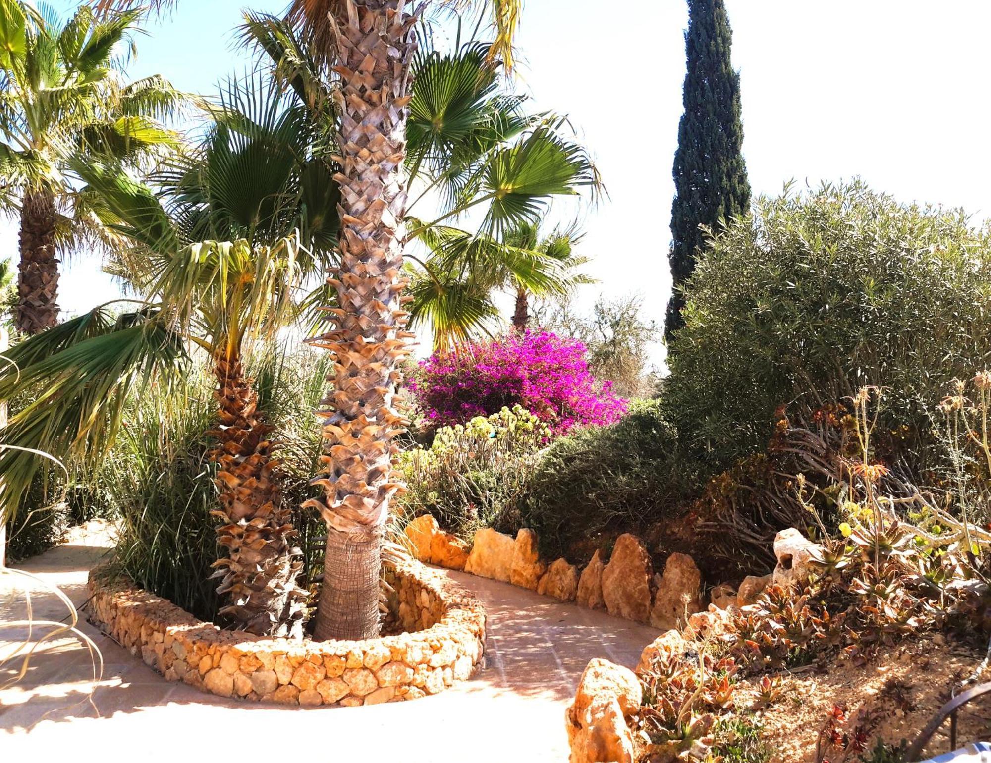 Finca Alqueria Fosca كامبوس المظهر الخارجي الصورة