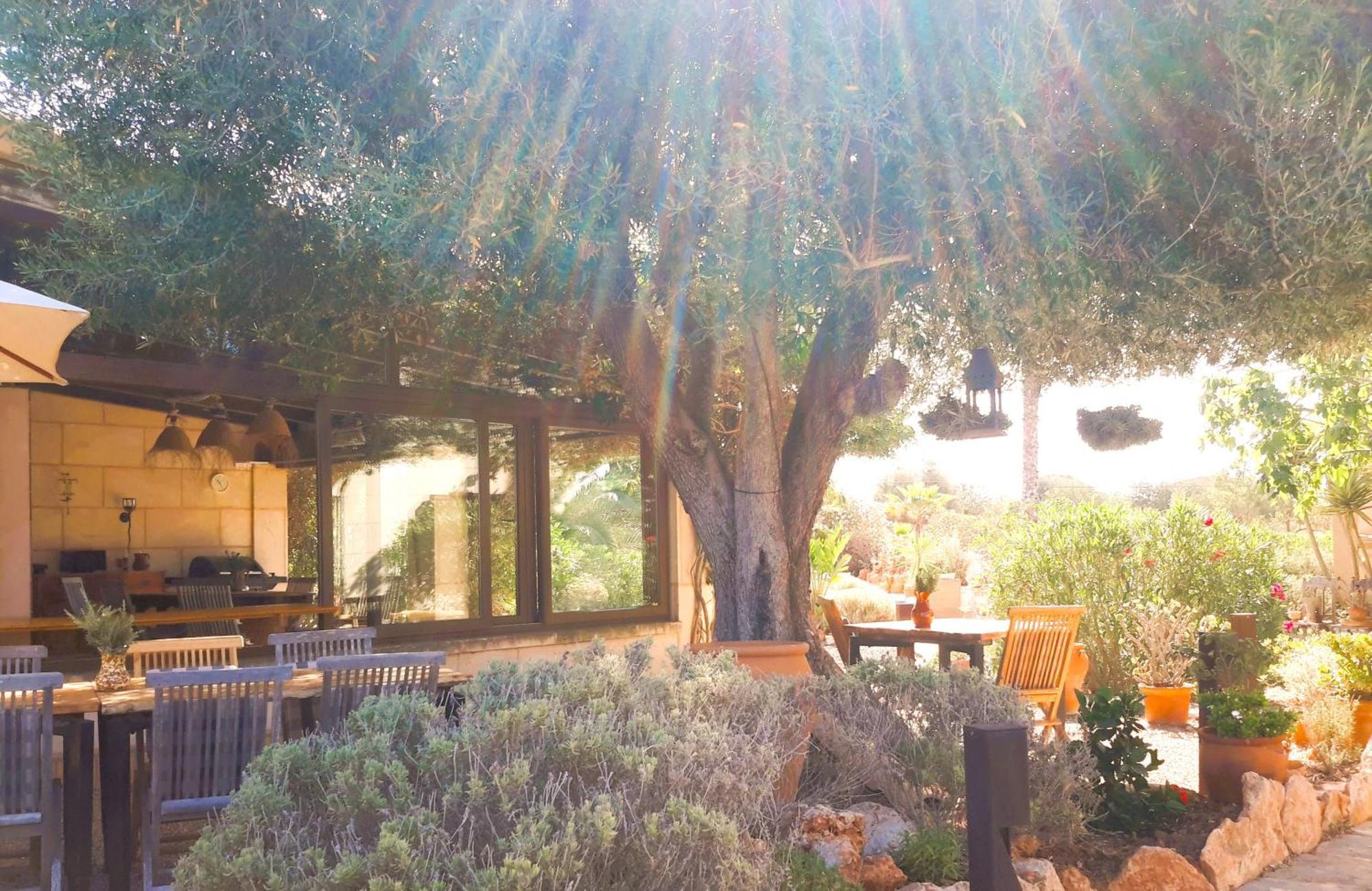 Finca Alqueria Fosca كامبوس المظهر الخارجي الصورة
