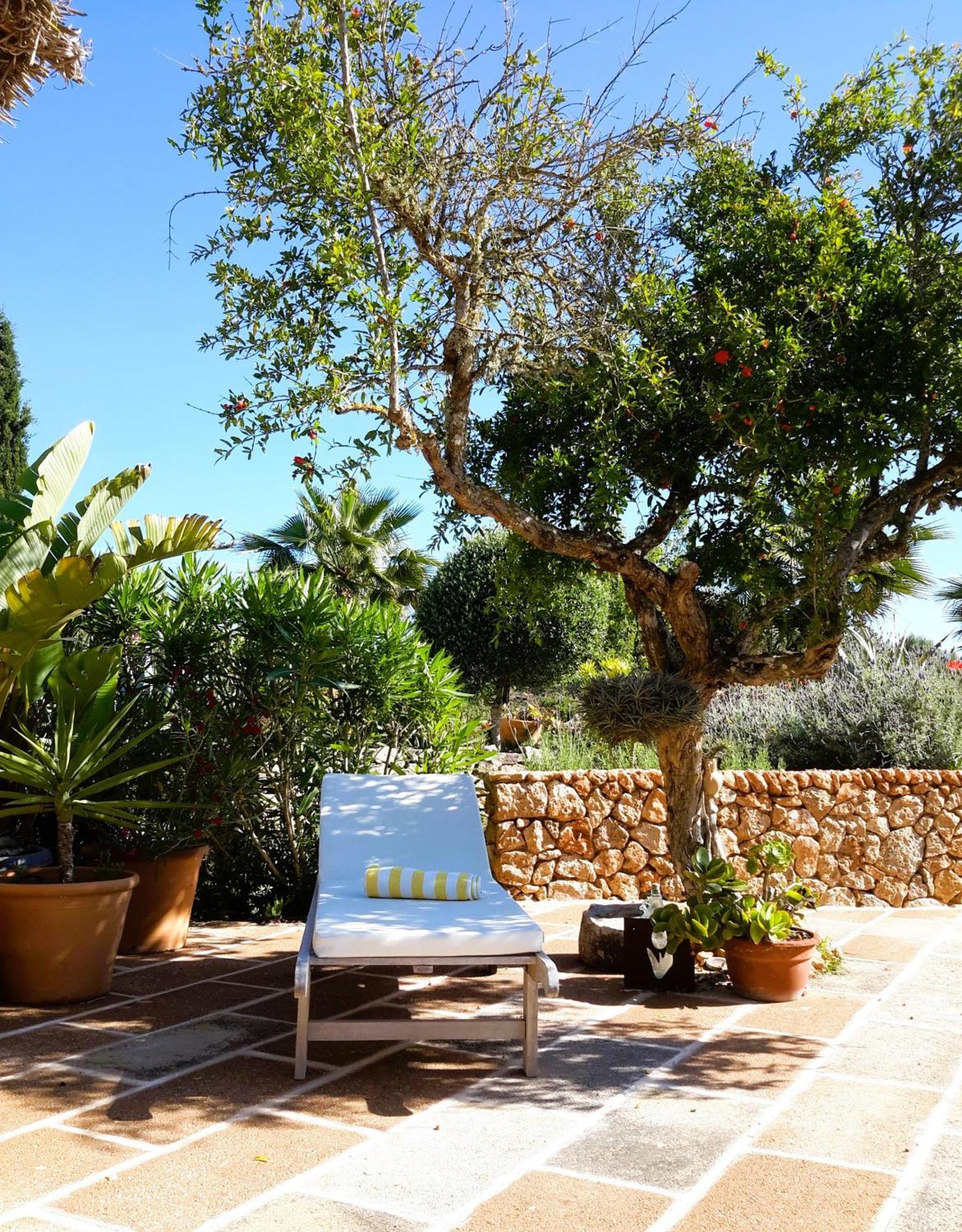 Finca Alqueria Fosca كامبوس المظهر الخارجي الصورة