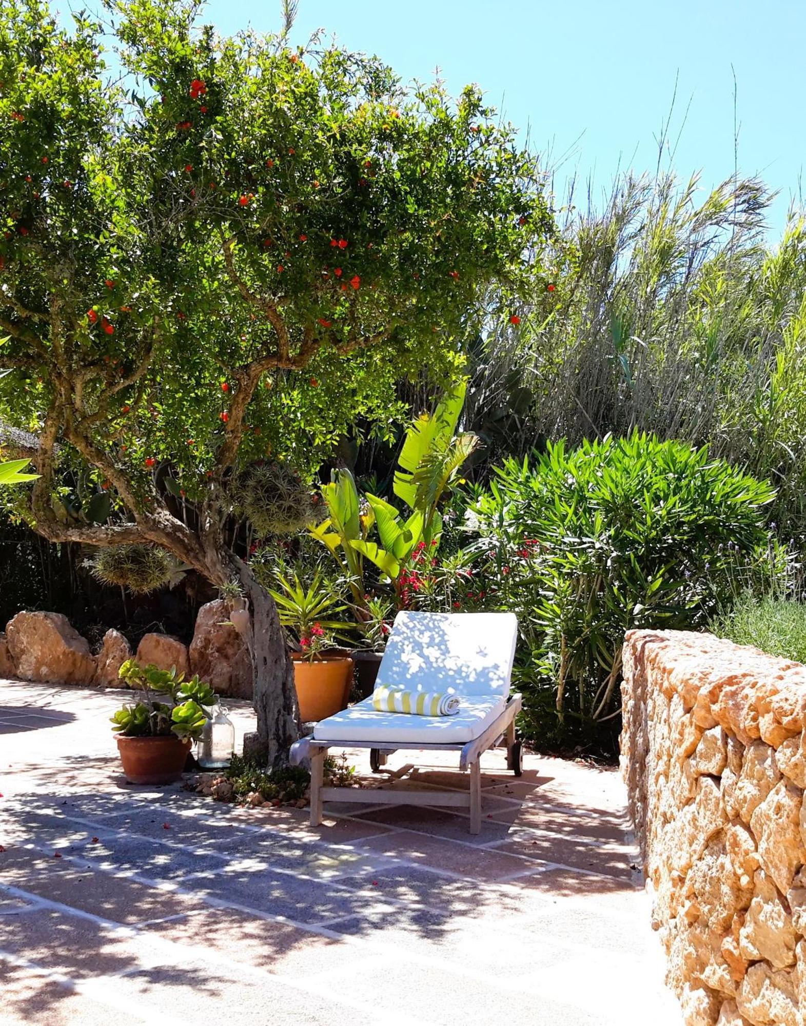 Finca Alqueria Fosca كامبوس المظهر الخارجي الصورة